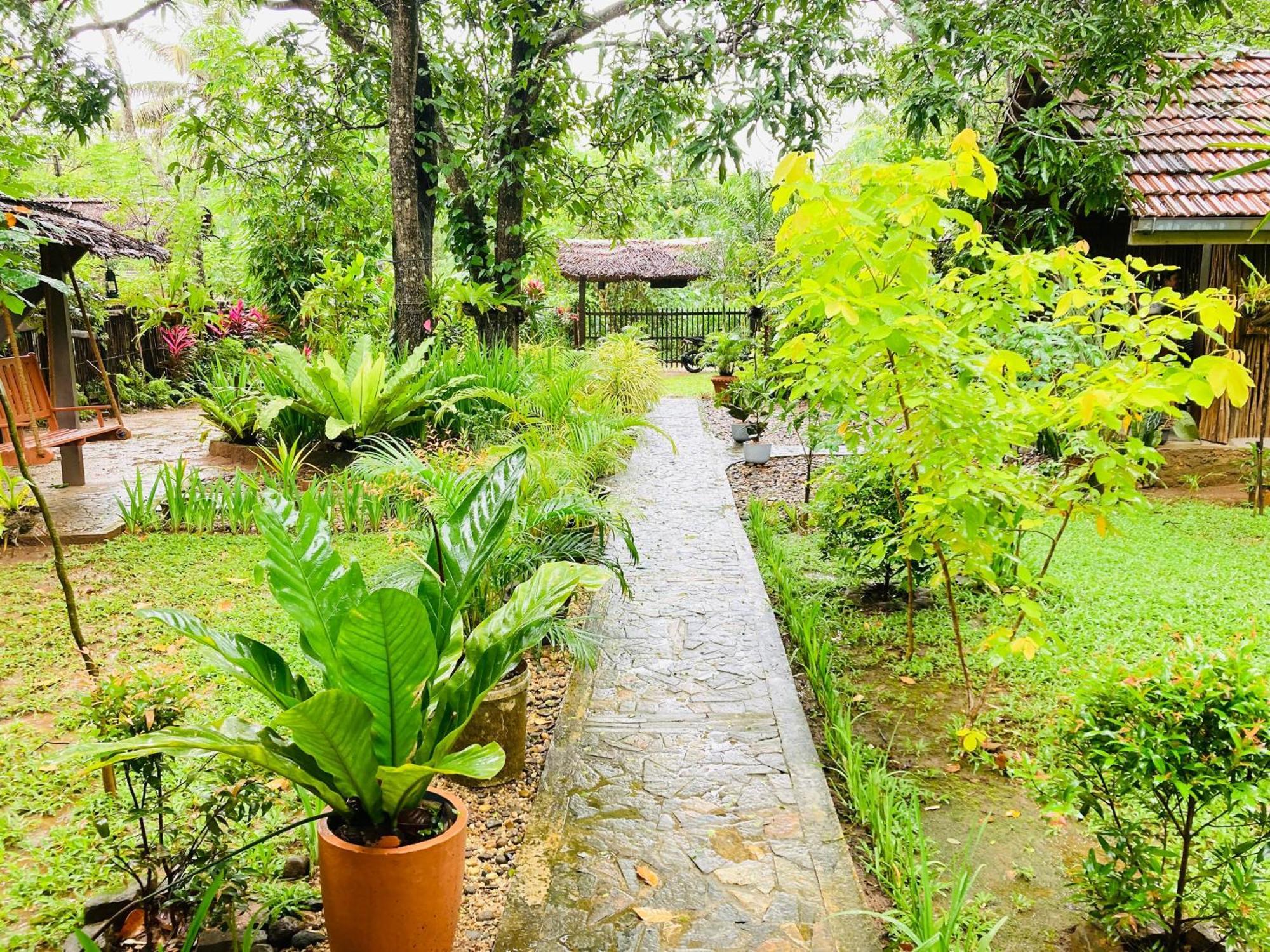Green Paradise Cottage Udawalawa Udawalawe Eksteriør billede