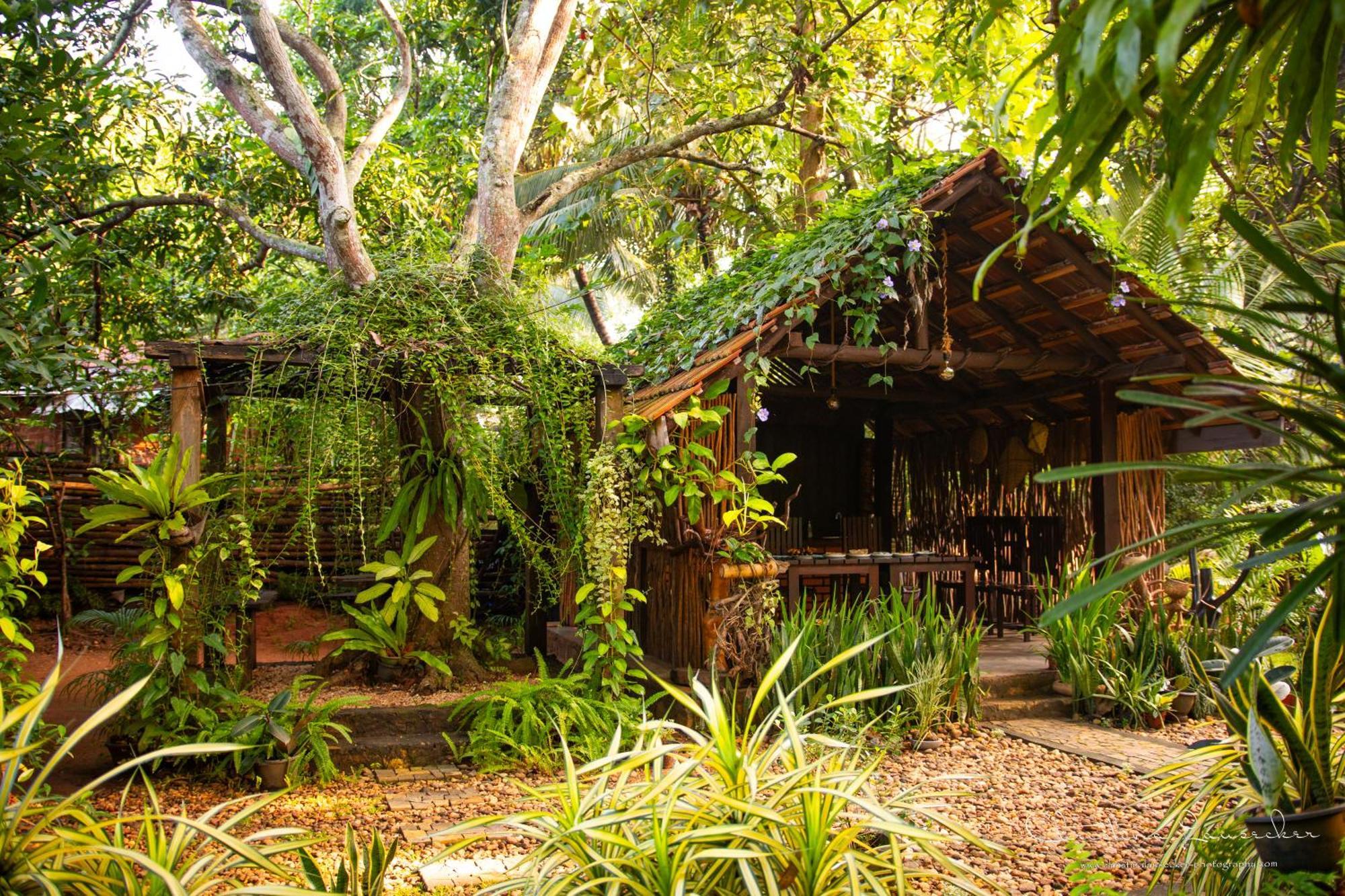 Green Paradise Cottage Udawalawa Udawalawe Eksteriør billede
