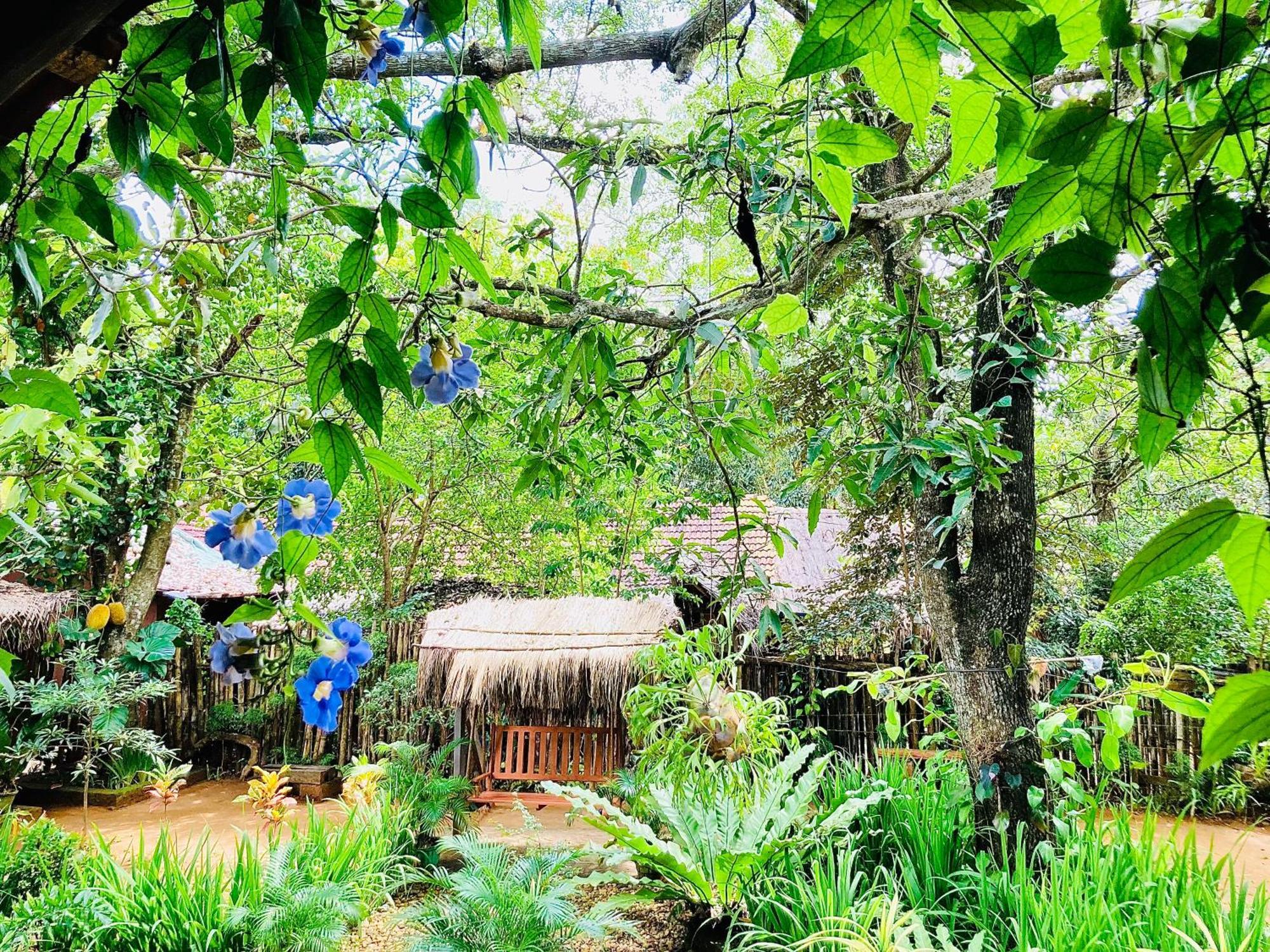 Green Paradise Cottage Udawalawa Udawalawe Eksteriør billede