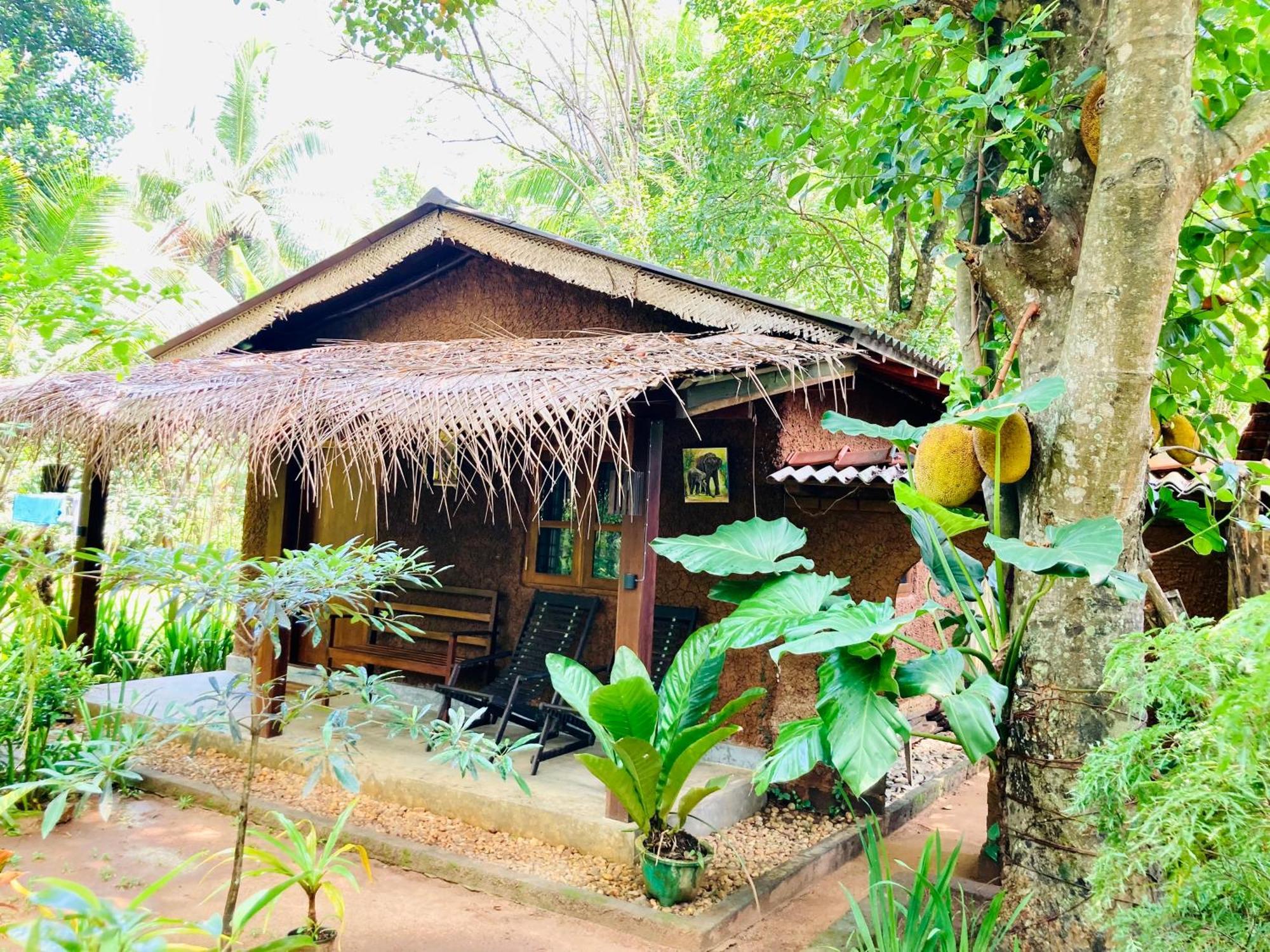 Green Paradise Cottage Udawalawa Udawalawe Eksteriør billede