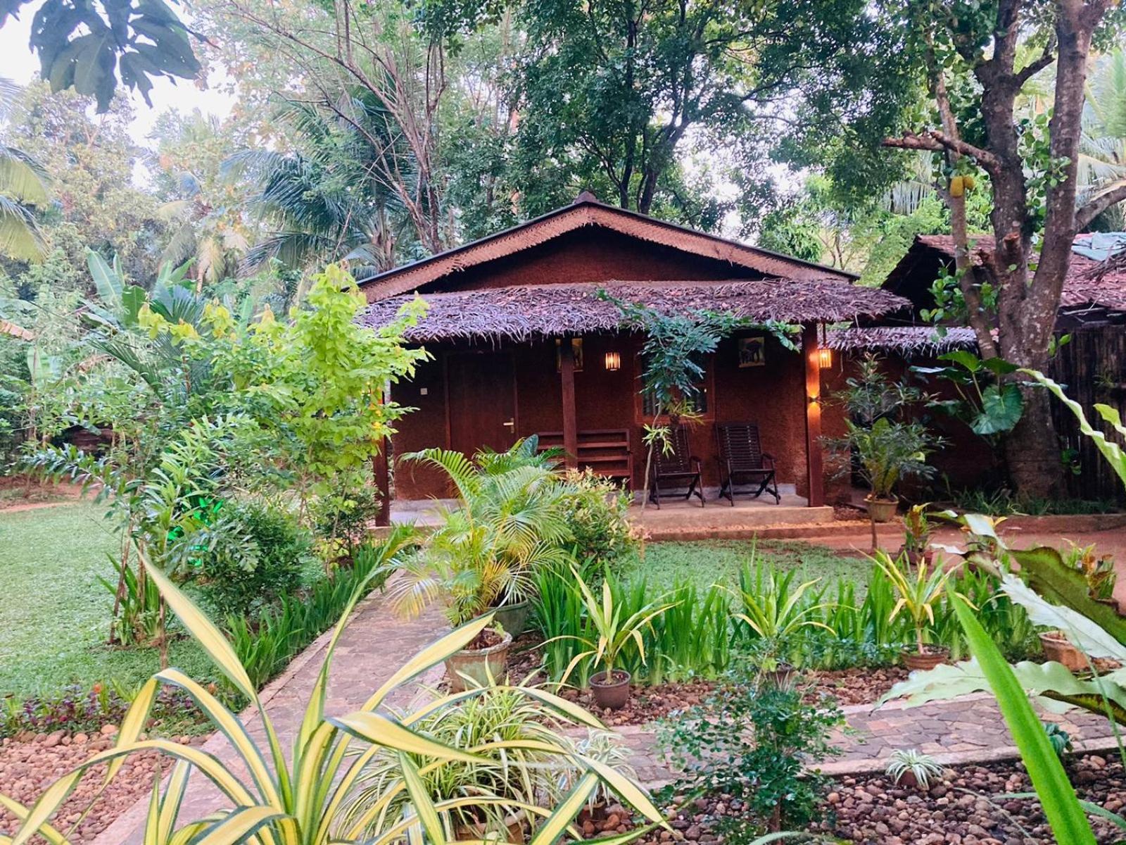 Green Paradise Cottage Udawalawa Udawalawe Eksteriør billede